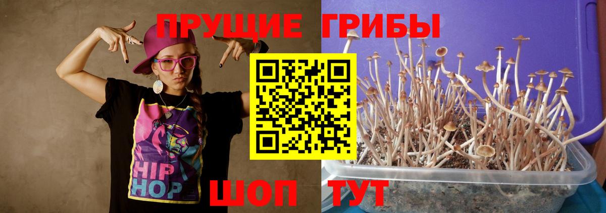 Александров  Галлюциногенные грибы мухоморы  Вход с VPN 